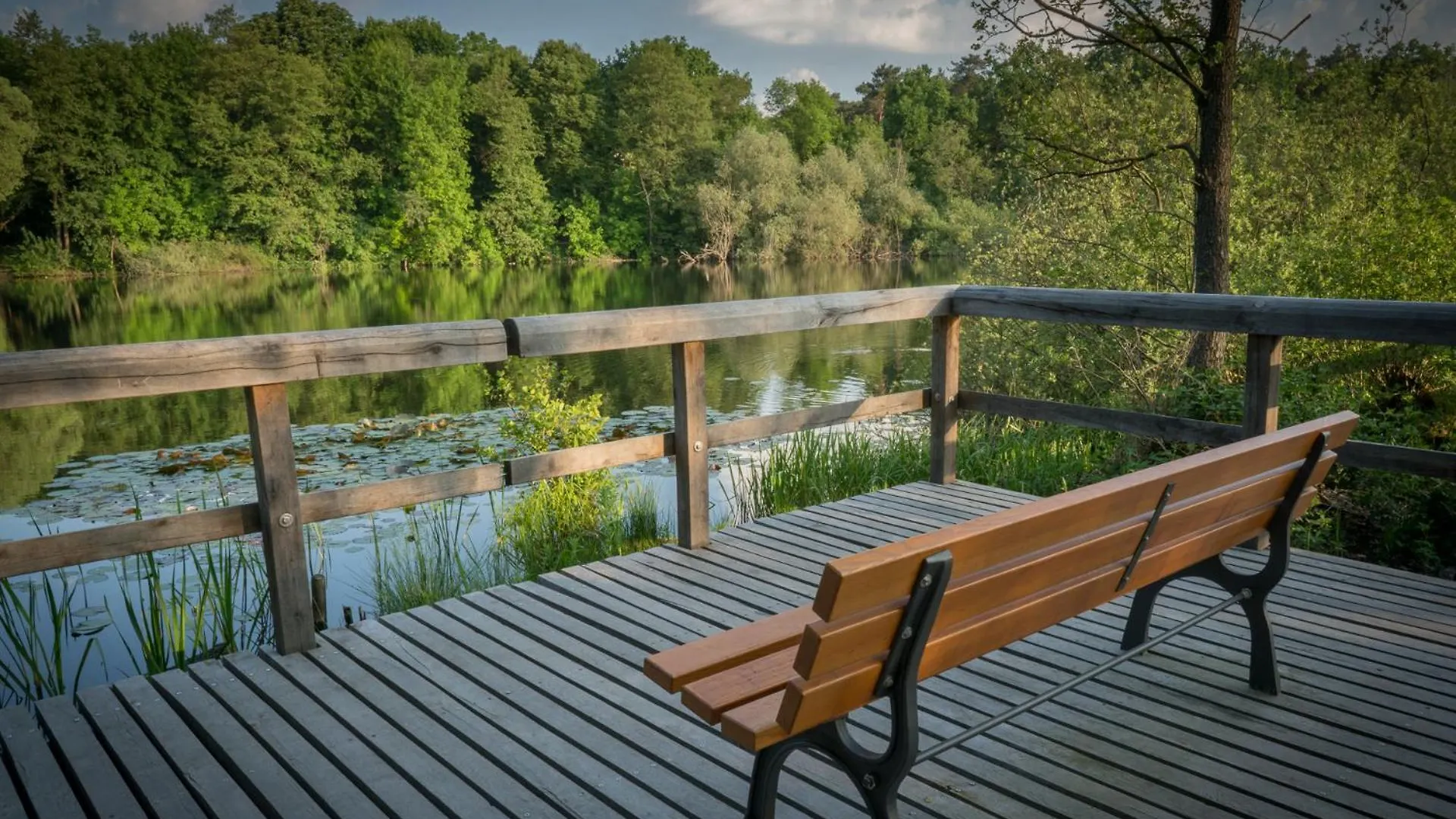 Ferienpark Ruebezahl Am Mueggelsee, Haus 13 Erle Mit Eigener Sauna, Idealer Ort Fuer Natur- Und Erholungssuchende, Fuer Radfahrer, Familien Mit Kindern Und Hundeliebhaber Berlino Casa vacanze