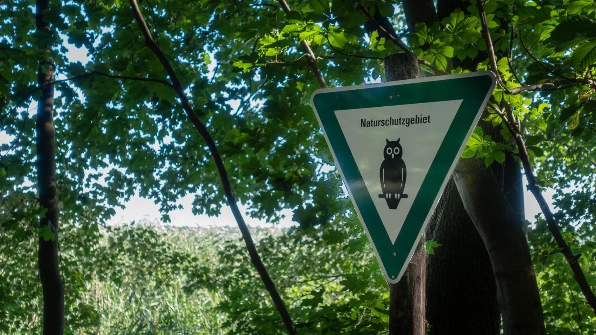 Casa vacanze Ferienpark Ruebezahl Am Mueggelsee, Haus 13 Erle Mit Eigener Sauna, Idealer Ort Fuer Natur- Und Erholungssuchende, Fuer Radfahrer, Familien Mit Kindern Und Hundeliebhaber Berlino Germania