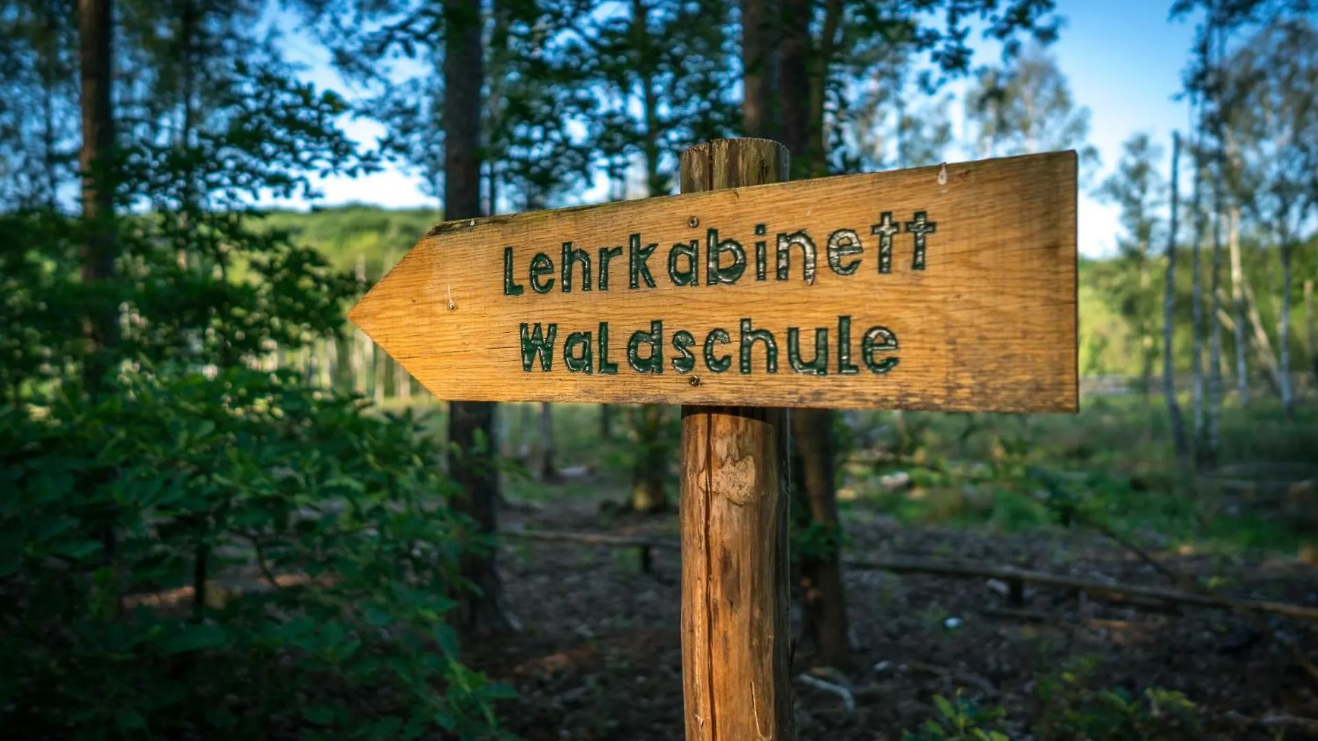 Ferienpark Ruebezahl Am Mueggelsee, Haus 13 Erle Mit Eigener Sauna, Idealer Ort Fuer Natur- Und Erholungssuchende, Fuer Radfahrer, Familien Mit Kindern Und Hundeliebhaber Berlin